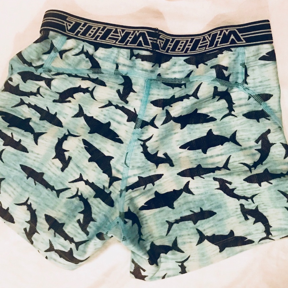 Jolyn korbin shorts - size small